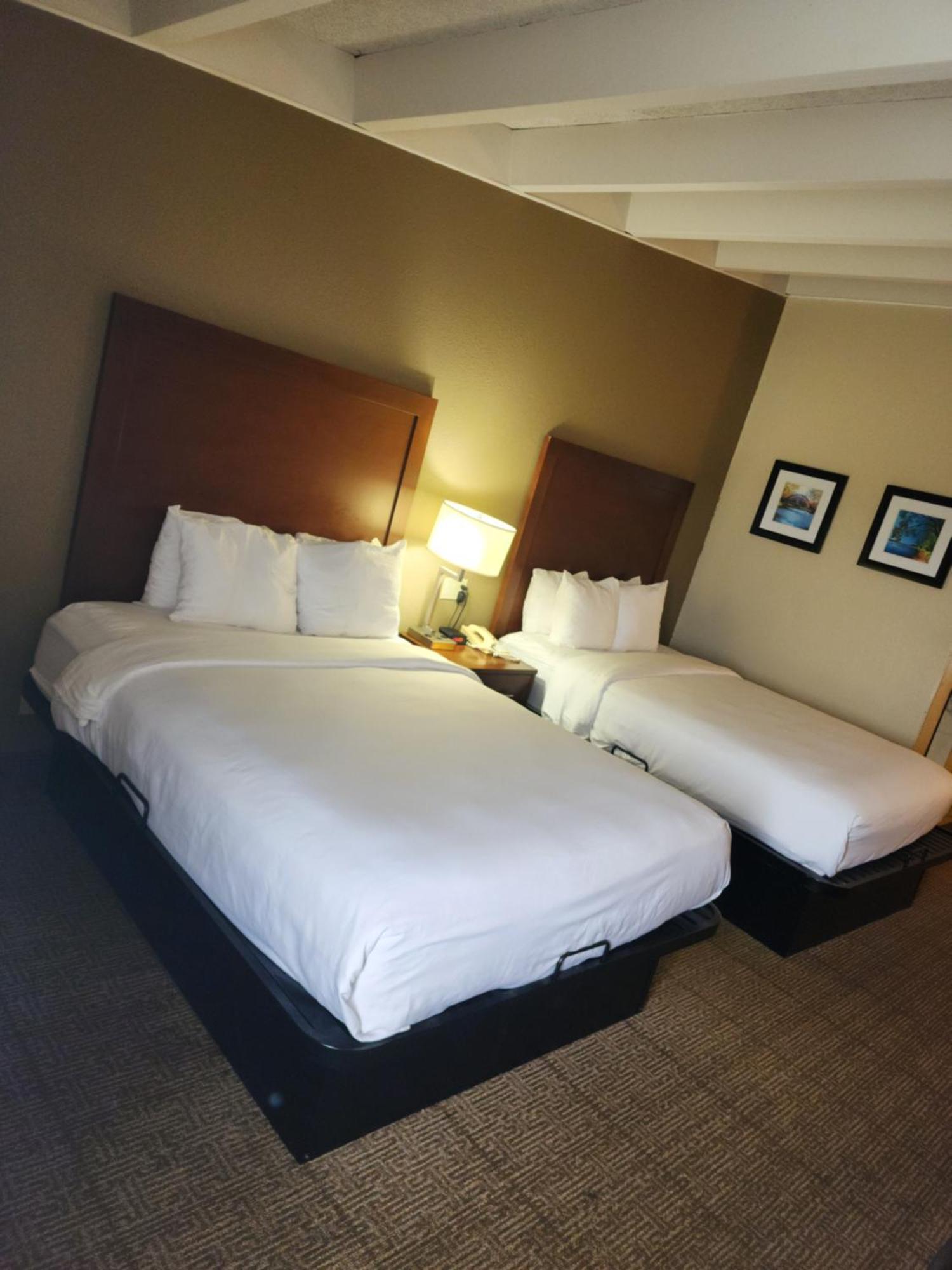 Comfort Inn & Suites Madison - Airport Kültér fotó