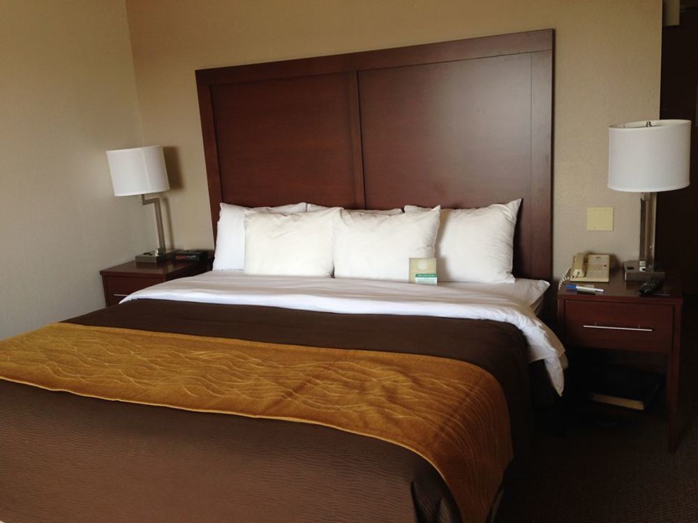 Comfort Inn & Suites Madison - Airport Kültér fotó